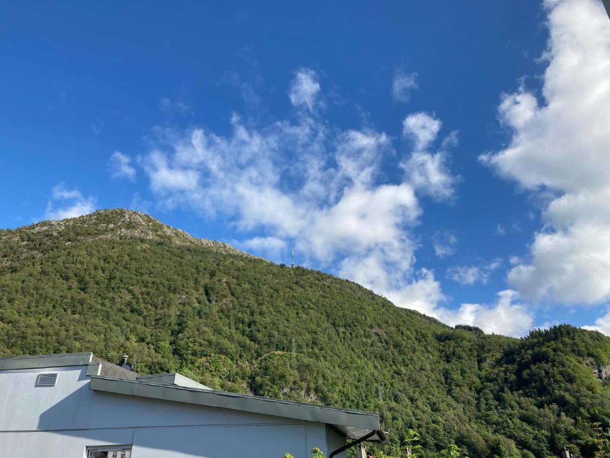 Kjellerleilighet - Naert Haukeland Sykehus. Bergen Extérieur photo